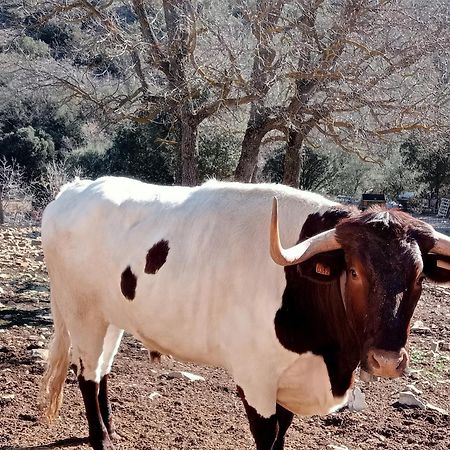 Camping Casa Fausto Cerca De Dinopolis Formiche Alto Εξωτερικό φωτογραφία