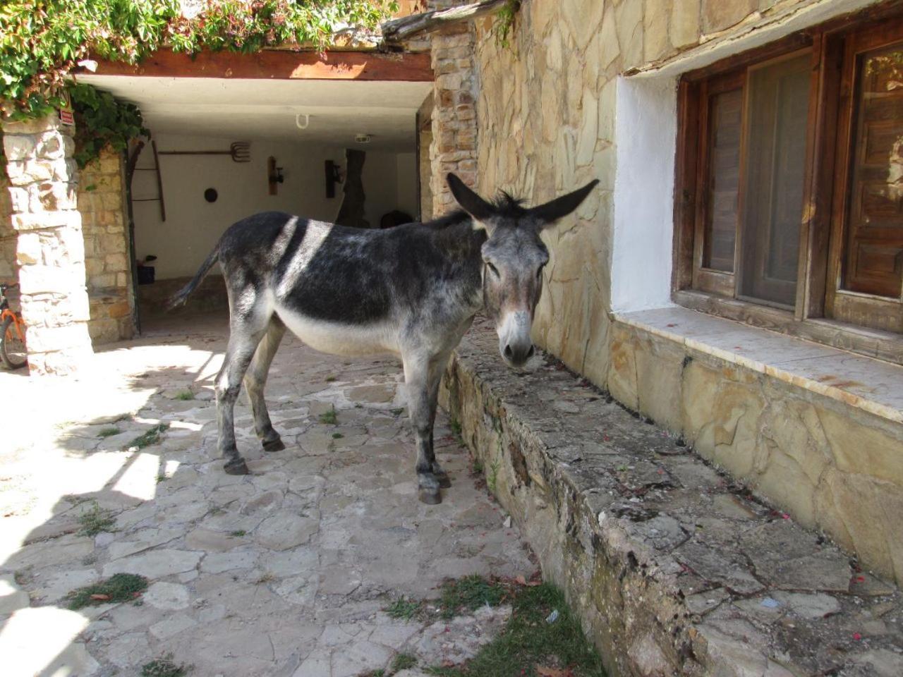 Camping Casa Fausto Cerca De Dinopolis Formiche Alto Εξωτερικό φωτογραφία
