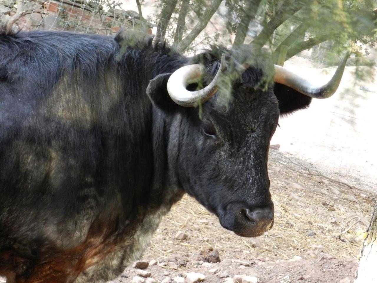 Camping Casa Fausto Cerca De Dinopolis Formiche Alto Εξωτερικό φωτογραφία
