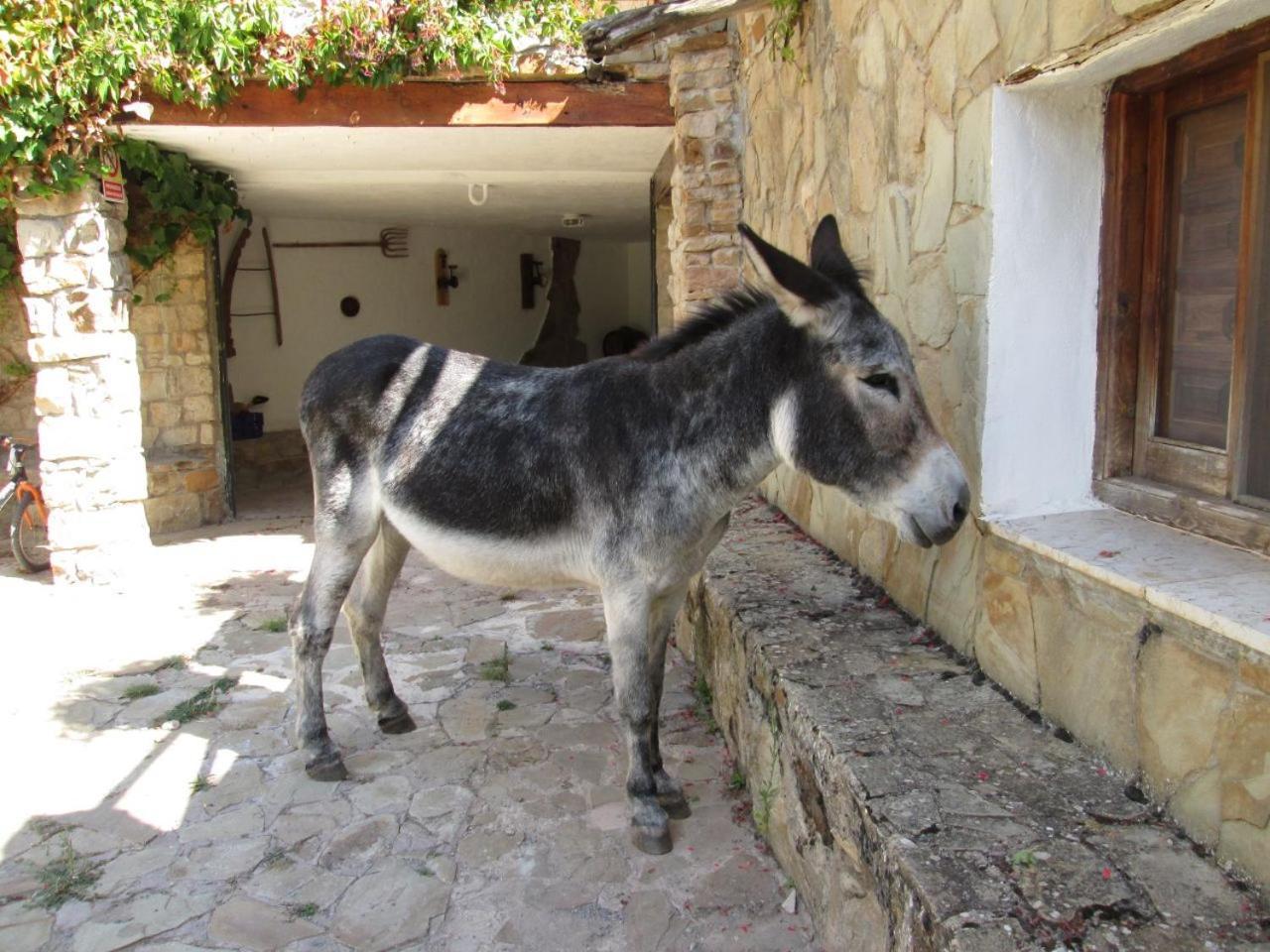 Camping Casa Fausto Cerca De Dinopolis Formiche Alto Εξωτερικό φωτογραφία